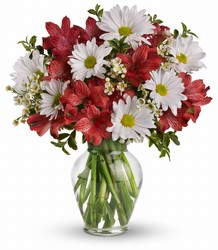 Dancing in Daisies from Carl Johnsen Florist in Beaumont, TX